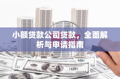 丘北小额贷款公司贷款，全面解析与申请指南
