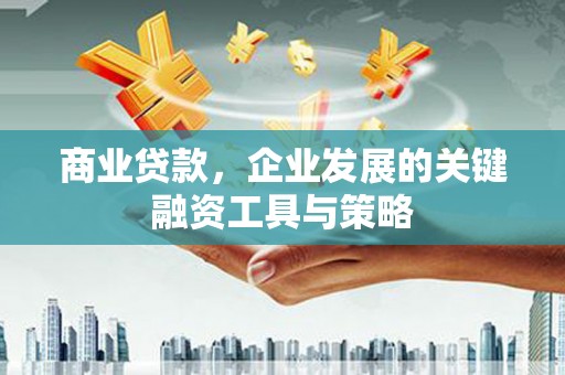 丘北商业贷款，企业发展的关键融资工具与策略