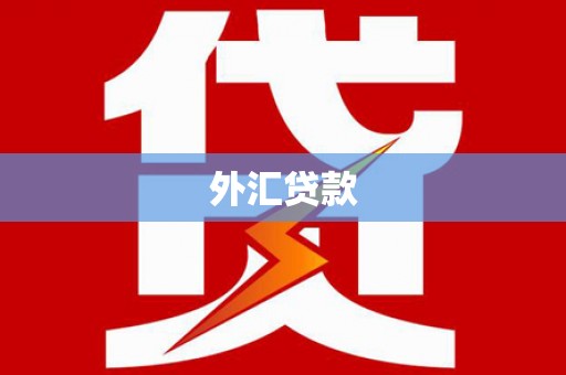 丘北外汇贷款