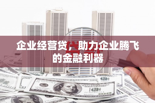 丘北企业经营贷，助力企业腾飞的金融利器
