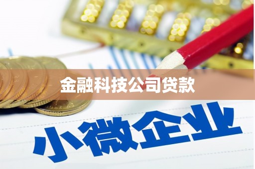 丘北金融科技公司贷款