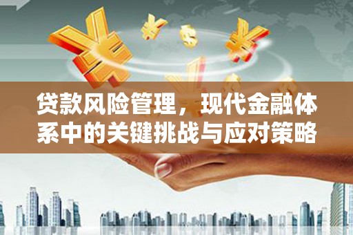 丘北贷款风险管理，现代金融体系中的关键挑战与应对策略