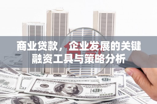 丘北商业贷款，企业发展的关键融资工具与策略分析