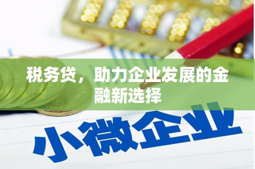 丘北税务贷，助力企业发展的金融新选择