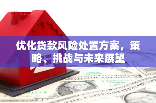 丘北优化贷款风险处置方案，策略、挑战与未来展望
