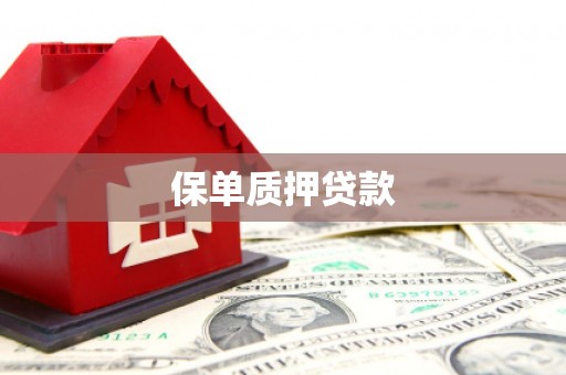 丘北保单质押贷款