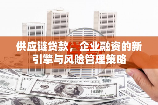 丘北供应链贷款，企业融资的新引擎与风险管理策略