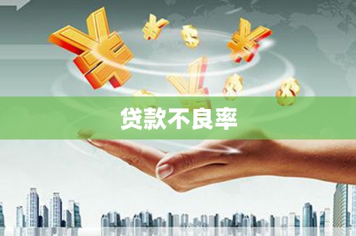 丘北贷款不良率