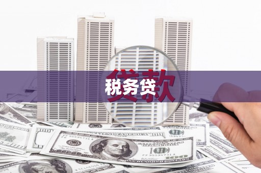 丘北税务贷