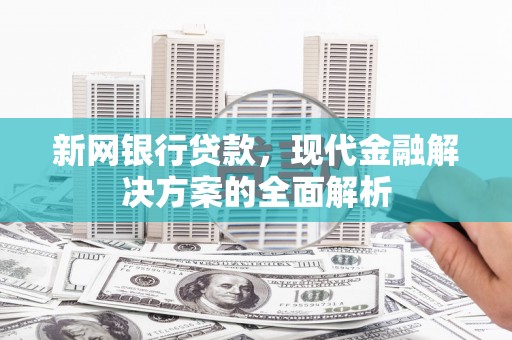 丘北新网银行贷款，现代金融解决方案的全面解析
