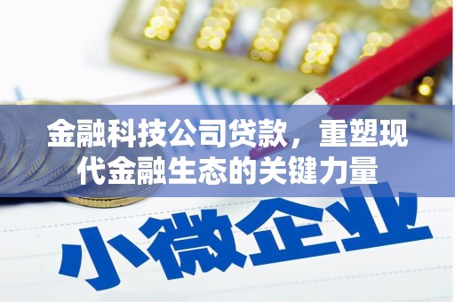 丘北金融科技公司贷款，重塑现代金融生态的关键力量