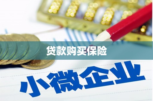丘北贷款购买保险