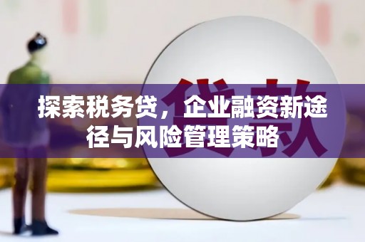 丘北探索税务贷，企业融资新途径与风险管理策略
