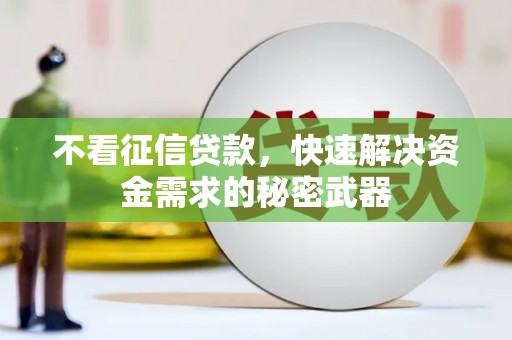 丘北不看征信贷款，快速解决资金需求的秘密武器