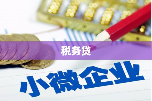 丘北税务贷