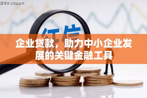 丘北企业贷款，助力中小企业发展的关键金融工具