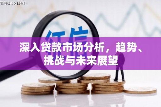 丘北深入贷款市场分析，趋势、挑战与未来展望