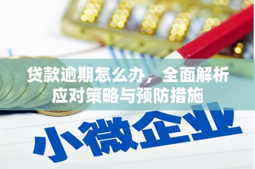 丘北贷款逾期怎么办，全面解析应对策略与预防措施