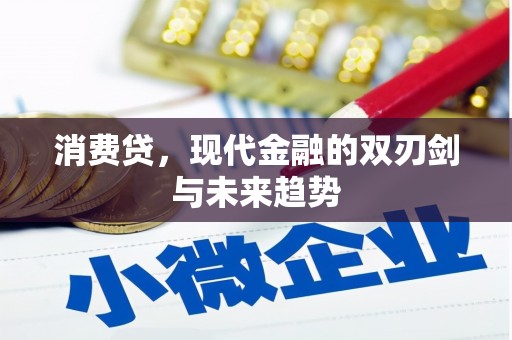 丘北消费贷，现代金融的双刃剑与未来趋势