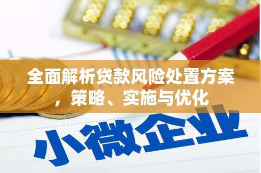 丘北全面解析贷款风险处置方案，策略、实施与优化
