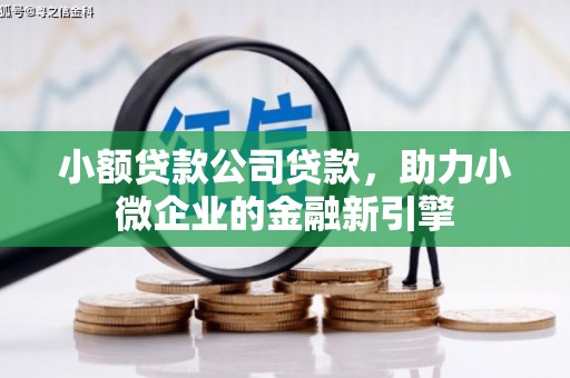 丘北小额贷款公司贷款，助力小微企业的金融新引擎