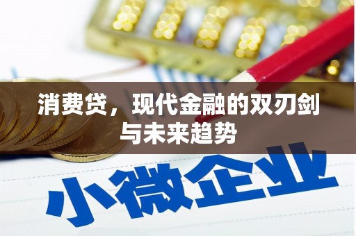 丘北消费贷，现代金融的双刃剑与未来趋势