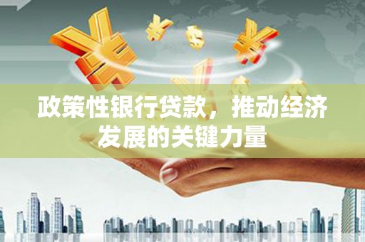 丘北政策性银行贷款，推动经济发展的关键力量