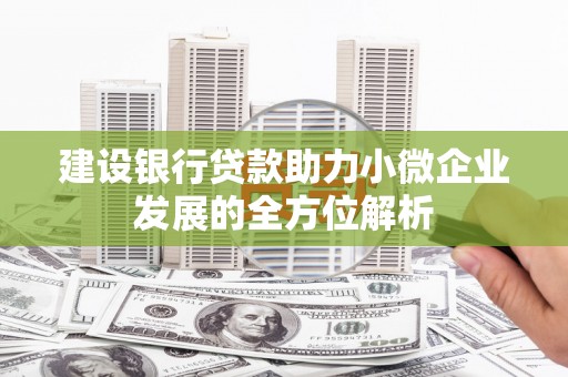 丘北建设银行贷款助力小微企业发展的全方位解析