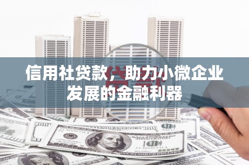 丘北信用社贷款，助力小微企业发展的金融利器