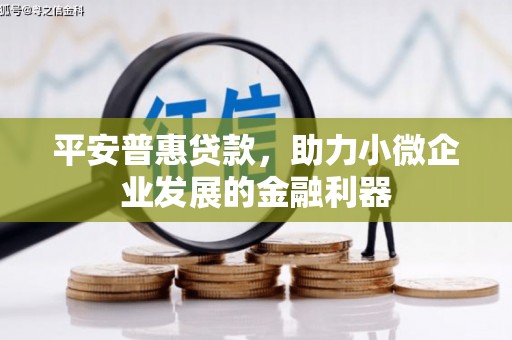 丘北平安普惠贷款，助力小微企业发展的金融利器
