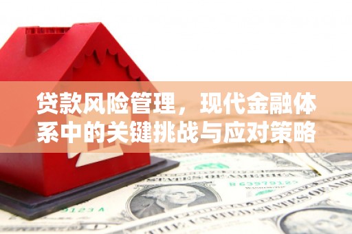 丘北贷款风险管理，现代金融体系中的关键挑战与应对策略