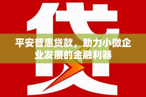 丘北平安普惠贷款，助力小微企业发展的金融利器