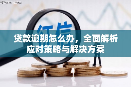丘北贷款逾期怎么办，全面解析应对策略与解决方案